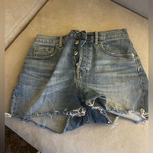 Everlane Light Blue Denim Cheeky Short